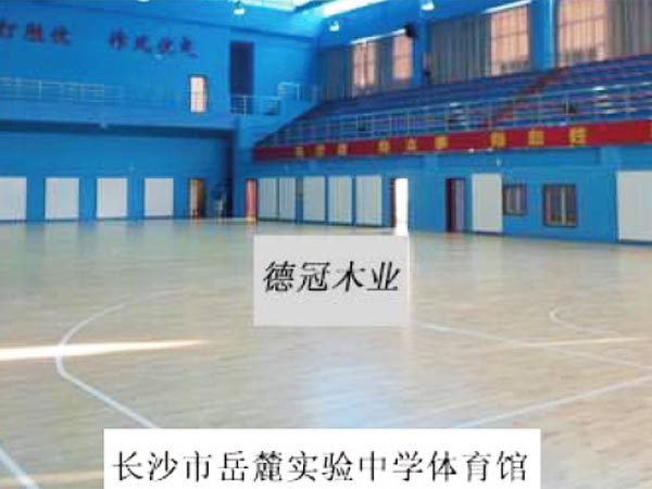 長沙市岳麓實驗中學(xué)體育館