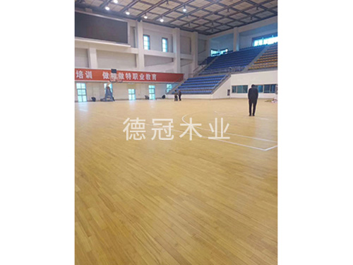 籃球館2 籃球館2