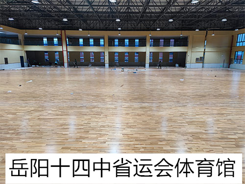 岳陽(yáng)十四中省運(yùn)會(huì)體育館